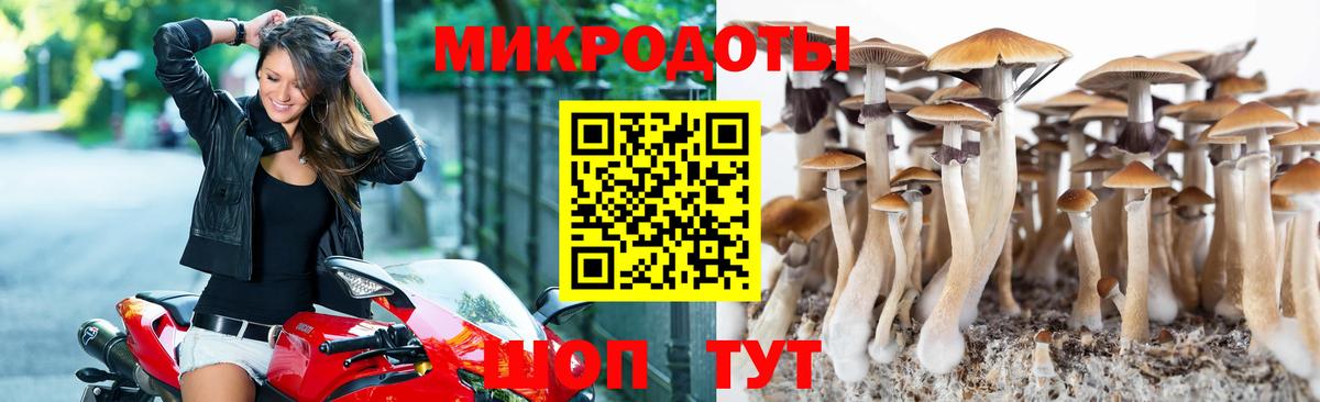 Галлюциногенные грибы мицелий  Псилоцибиновые грибы мицелий  Снежинск  Вход с VPN 